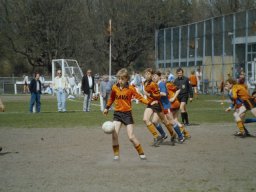 0DIA 1986 RAVA C1